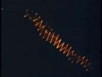 satellite communications vintage GIF by US National Archives