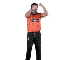 sunriserseasterncape cricket sec sunrisers sa20 Sticker