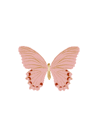Pink Fluttering Sticker