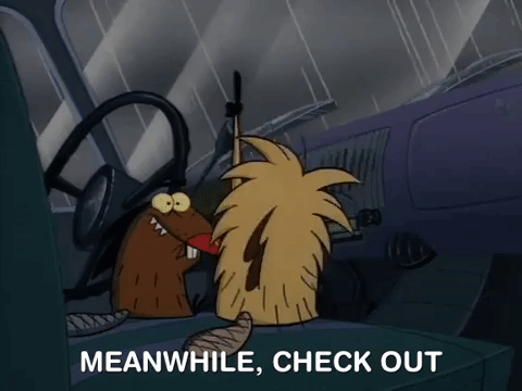 nickrewind giphydvr nicksplat angry beaver giphyab001 GIF