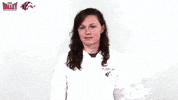 Southern Illinois Mvc GIF by Missouri Valley Conference