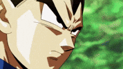 Dragon Ball Kefla GIF by TOEI Animation UK