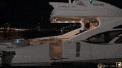 karatecombat sports karate karatecombat GIF