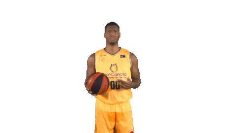 Liga Endesa Basketball Sticker by ACB