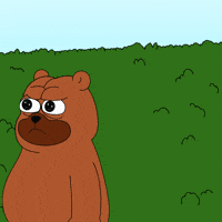 Bear Web3 GIF by Bearycoin