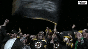 nbcsboston patriots pats bs stanley cup playoffs GIF