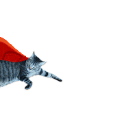 super cat Sticker by OmniPERFORM