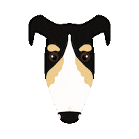 Dog Adopt Sticker