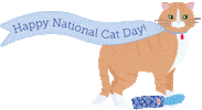 kongcompany cat kong catday kongcompany Sticker