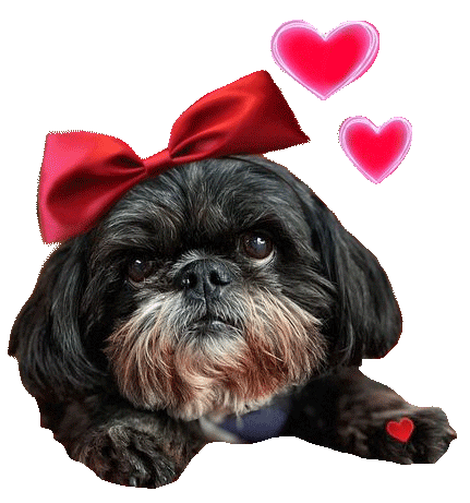 Puppy Starla Sticker