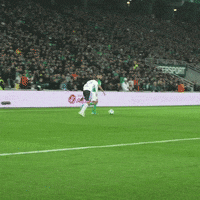 Ligue 1 Football GIF by AS Saint-Étienne