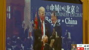 zheng zhi GIF