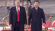 zheng zhi GIF