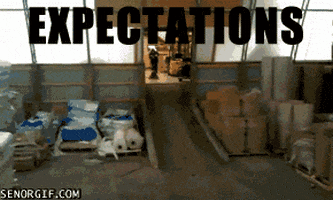 best of week win GIF by Cheezburger