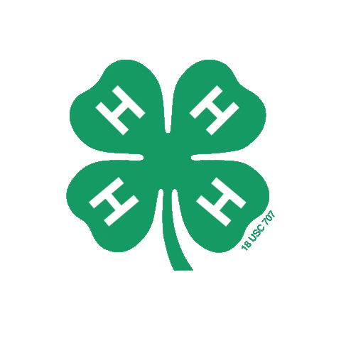 Excited 4-H Sticker by ISUExtension