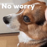No Worries Dog GIF