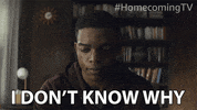 Homecoming Tv GIF by Amazon Prime Video