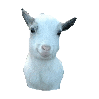 Goat Sticker by imoji