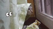 Nepalicats Peaking Sus Suspicious What Hide GIF