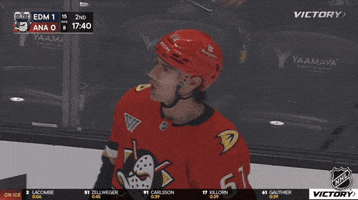 Anaheim Ducks Celebration GIF by NHL