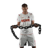 1 Fc Cologne Bundesliga Sticker by 1. FC Köln