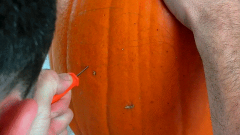 pumpkin GIF