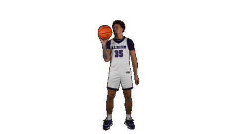 Ppp D3 Sticker by Albion College