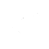 Xerais ilustracion libros galego xerais Sticker