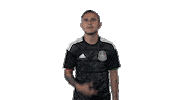 football mexico Sticker by MiSelecciónMX