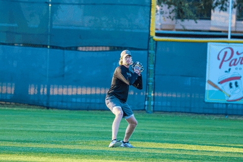 Baseball GIF by TCABB