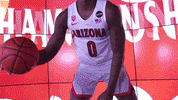 Wildcats GIF by Arizona Men's Basketball