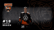 Ice Hockey GIF by Grizzlys Wolfsburg