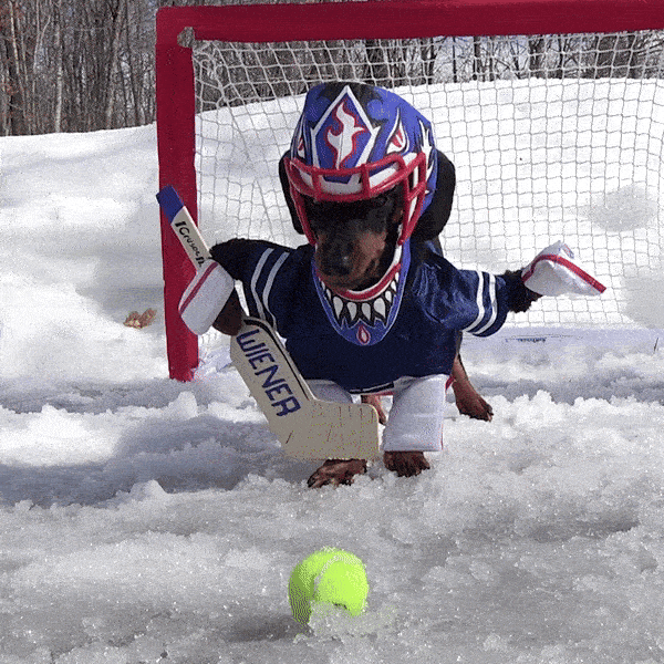 Hockey Goalie GIF by Crusoe
