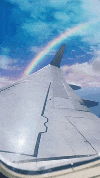 Fly Away Rainbow GIF