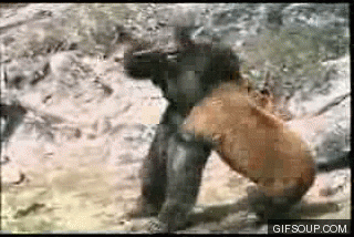images photos GIF