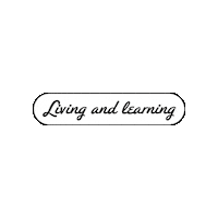 Travel Usa Sticker by Live N Learn