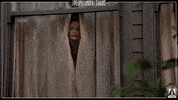 home alone film GIF by Arrow Video