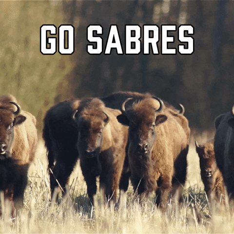 Buffalo Sabres Sport GIF by Sealed With A GIF
