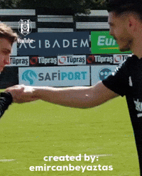 Milot Rashica GIF