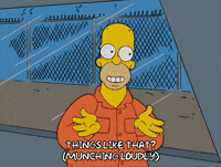 homer simpson GIF