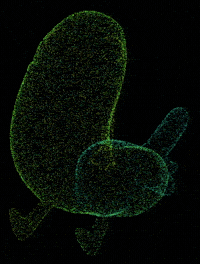 Chicken Rotate GIF