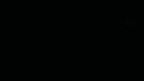 MemoryMusic giphygifmaker boomer live forever bartees strange GIF