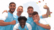 Fc GIF by ChemnitzerFC