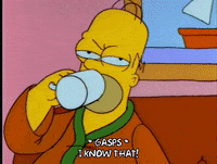 Season 4 Wow GIF by The Simpsons