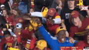 celebrate iowa state football fans iowa state cyclones swag surf GIF