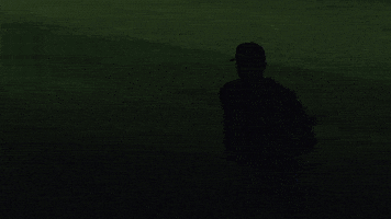 Blue Jays Baseball GIF by Toronto Blue Jays