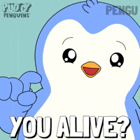 Wake Up Hello GIF by Pudgy Penguins