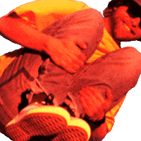 violetmaimbourg cannonball manorofanimals violetmaimbourg GIF