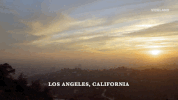 viceland GIF by Bong Appétit