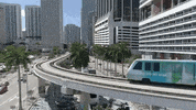 florida GIF